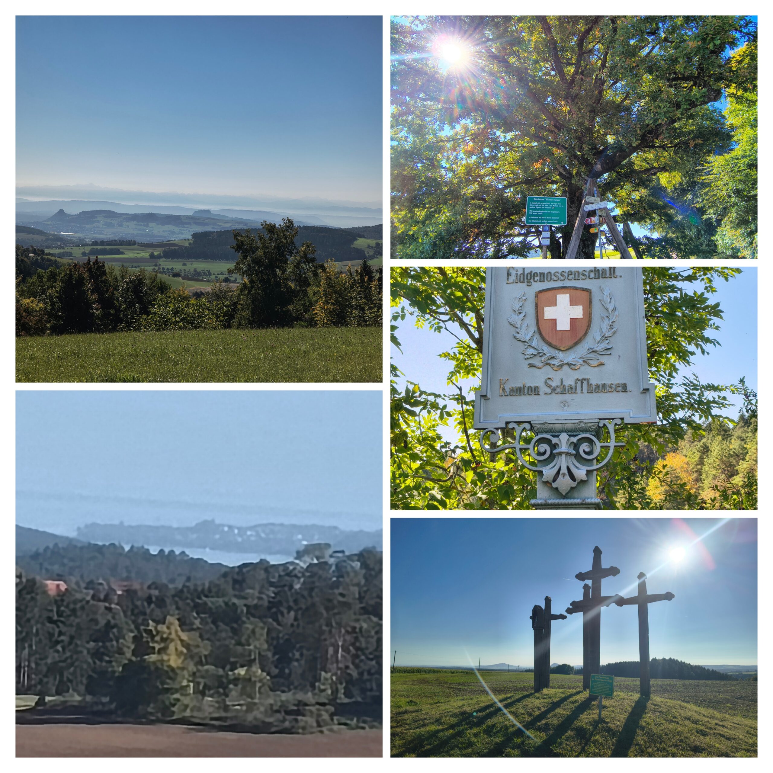 Bilder des Tages 19.09